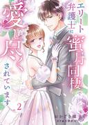 エリート弁護士に蜜月同棲で愛し尽くされています　2(マーマレードコミックス)