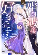 婚約破棄されたので、好きにすることにした。（３）