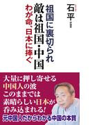 敵は祖国・中国