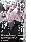 「低度」外国人材　移民焼き畑国家、日本(角川新書)
