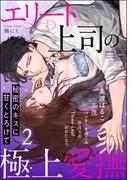 エリート上司の極上愛撫 秘密のキスに甘くとろけて （2）(S*girlコミックス)
