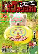 ビッグコミックオリジナル　2025年10号（2025年5月2日発売)