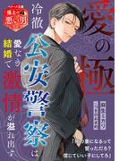 愛の極～冷徹公安警察は愛なき結婚で激情が溢れ出す～【極上の悪い男シリーズ】【SS付き】