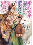 婚約破棄されたので自由気ままに旅していたら、隣国の皇太子殿下と運命の出会いをしました(ラルーナ文庫)