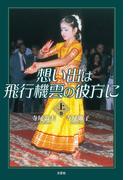 想い出は飛行機雲の彼方に・上巻