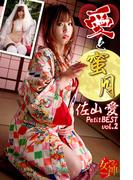 愛と蜜月 佐山愛PetitBEST vol.2(アブナイ女神☆)