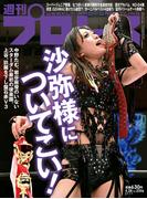 週刊プロレス 2025年 5／28号 No.2356