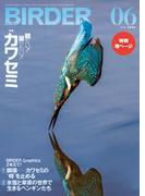 BIRDER2025年6月号