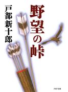 野望の峠(PHP文庫)