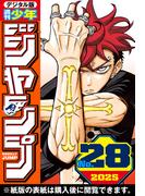 週刊少年ジャンプ 2025年28号