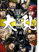 大乱 関ケ原（５）(SPコミックス)