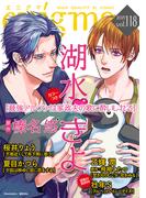 enigma vol.118(enigma)