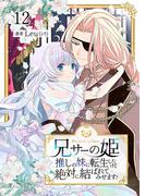 兄サーの姫～推しの妹に転生したけど、絶対に結ばれてみせます！～ 12
