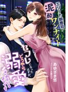エリート御曹司と泥酔ワンナイトからのセフレになったはずが、どうやら溺愛されているようです