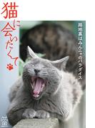 猫に会いたくて 路地裏はみんニャのパラダイス(猫パンチ)