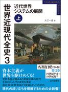 世界近現代全史３　近代世界システムの展開 上