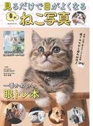 見るだけで目がよくなる幸せねこ写真