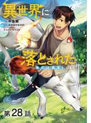 【単話版】異世界に落とされた…浄化は基本！@COMIC 第28話
