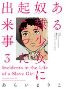 ある奴隷少女に起こった出来事 ： 3(アクションコミックス)