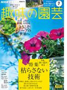 ＮＨＫ 趣味の園芸 2025年7月号