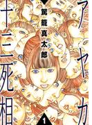 アヤカ十三死相(1)(リターンフェスティバル)