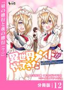 異世界メイドがやってきた～異邦人だった頃のメイドが現代の我が家でエッチなメイドさんに～【分冊版】（ノヴァコミックス）１２(ノヴァコミックス)