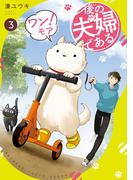 後の夫婦である３　ワン！モア(アルファノルンCOMICS)