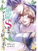 絶倫ドS魔術師アークと私の専属契約書【単行本版】XI