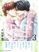 この恋をもう知ってる 3【単行本版（限定描き下ろし付き）】(fujossyコミック)