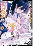 宮廷魔導士は鎖で繋がれ溺愛される１(ノーチェCOMICS)