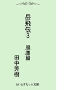 岳飛伝三