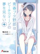 青春ブタ野郎はビーチクイーンの夢を見ない＋(電撃文庫)