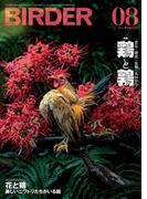 BIRDER2025年8月号