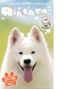 【デジタル限定】りんたろう写真集「Rintaro!!」(週プレ PHOTO BOOK)