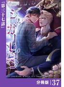 シュガーレイン【分冊版】37（ビアンココミックス）(ビアンココミックス)