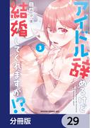 アイドル辞めるけど結婚してくれますか!?【分冊版】　29(ドラゴンコミックスエイジ)