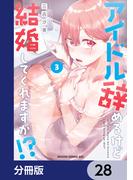 アイドル辞めるけど結婚してくれますか!?【分冊版】　28(ドラゴンコミックスエイジ)