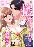 真一さんの抱容力は底なし　尽くし系溺愛がとまりません！(12)(lou lou)