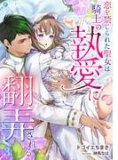 恋を禁じられた聖女は騎士の執愛に翻弄される（３）(アマゾナイトノベルズ)