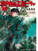 国境のエミーリャ 14(ゲッサン少年サンデーコミックス)