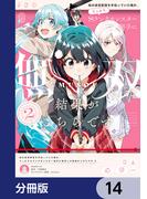 妹の迷宮配信を手伝っていた俺が、うっかりＳランクモンスター相手に無双した結果がこちらです【分冊版】　14(電撃コミックスNEXT)
