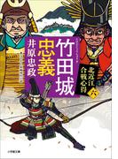 竹田城忠義　北近江合戦心得〈六〉(小学館文庫)