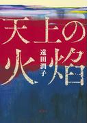 天上の火焔(集英社文芸単行本)