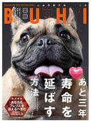 BUHI 2025年秋号