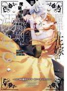 贖罪の花嫁はいつわりの婚姻に溺れる３(ノーチェCOMICS)