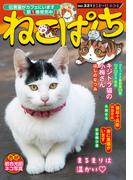 ねこぱんち No.221 まるまり秋ネコ号(にゃんCOMI)
