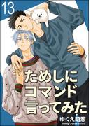 ためしにコマンド言ってみた（分冊版） 【第13話】(GUSH COMICS)