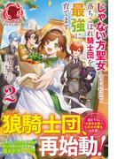 【電子限定版】じゃない方聖女と言われたので落ちこぼれ騎士団を最強に育てます 2(アリアンローズ)