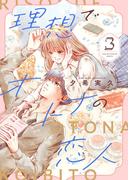 理想でオトナの恋人【合冊版】 3(Colorful!)