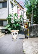 【期間限定　無料お試し版　閲覧期限2025年11月18日】メチャイロちいき猫やってます！(ペット宣言)